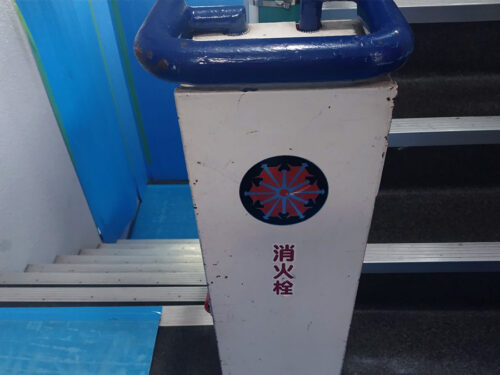 養生